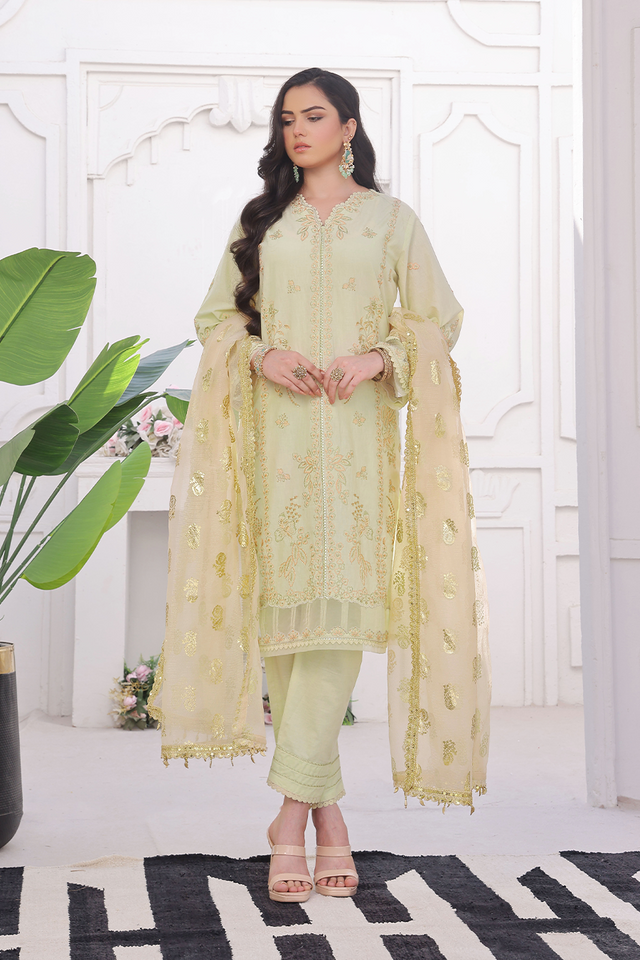 Embroidered Cambric 3 Pc suit-organza dupatta