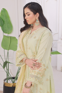 Embroidered Cambric 3 Pc suit-organza dupatta