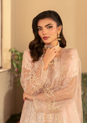 Net Maxi in Peach Orange-AYAT LIGHT PEACH