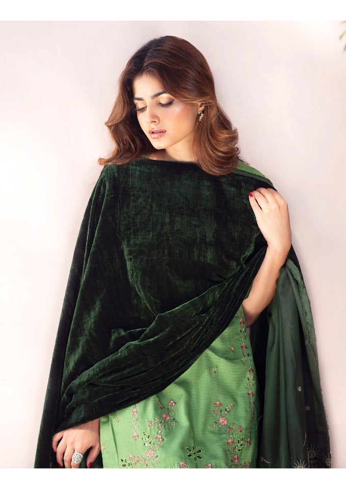 Bareeze Dyed Dora Dhanak Embroidered 3 PC with Velvet Shawl